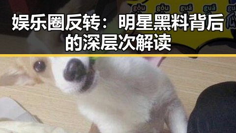 娱乐圈反转：明星黑料背后的深层次解读
